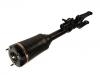 Amortiguador Shock Absorber:164 320 43 13