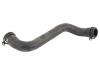 Radiator Hose:246 501 02 82