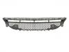 рещётка Grille Assembly:213 885 69 00