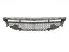 Grille Assembly:213 885 69 00