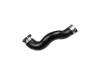 Intake Pipe:246 528 02 82