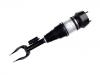 Amortisseur Shock Absorber:166 320 13 13