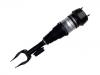 减振器 Shock Absorber:A 166 320 14 13