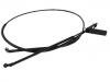 Bonnet Cable Bonnet Cable:51 23 7 184 456